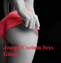 Joseph Cozinin Sexs Günü 1999 erotik film izle