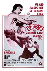 Bruce Ve Shaolin Kung Fu türkçe dublaj izle