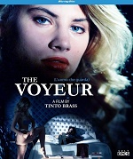 The voyeur 1994 erotik film izle