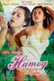 Hamog sa Bukang Liwayway 2004 erotik film izle